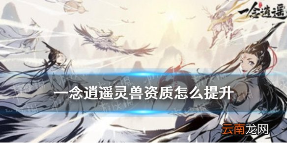 一念逍遥灵兽资质怎么提升 一念逍遥灵兽资质提升攻略