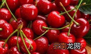 樱桃树苗怎样培植 吉林樱桃苗木栽培方法
