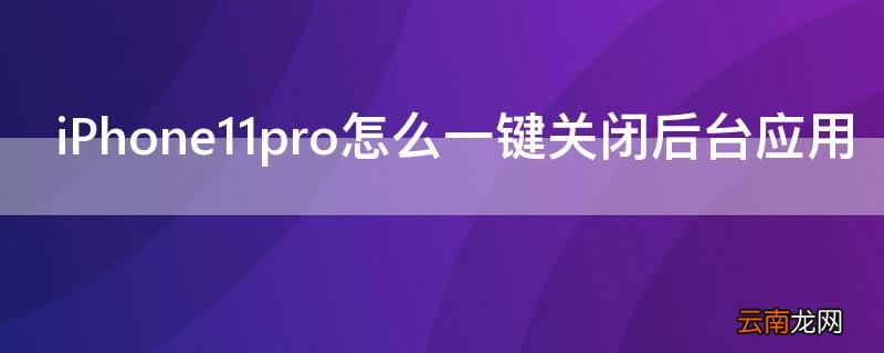 iPhone11 Pro Max怎么一键关闭后台应用