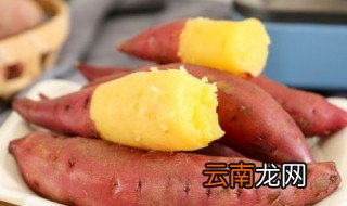 红薯可以发芽为什么是根 红薯芽怎么去根栽培