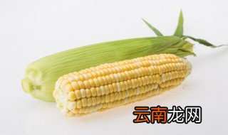 玉米煮半小时熟了吗 北方地区玉米煮多久就熟了