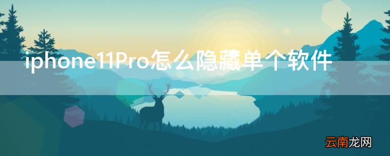iphone12如何隐藏单个app iPhone11Pro怎么隐藏单个软件
