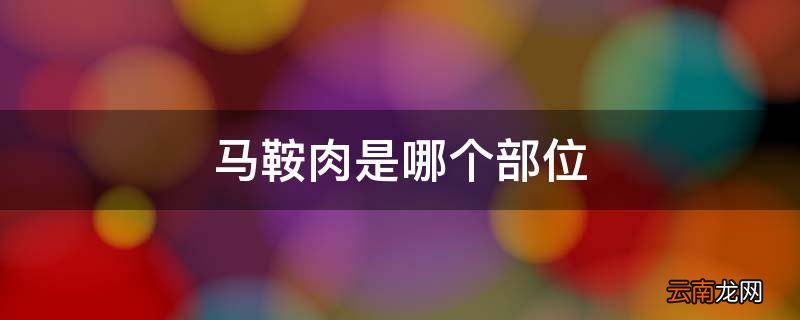 马鞍肉是哪个部位