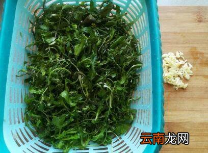 荠菜怎么炒好吃