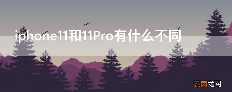 iPhone11和11Pro有什么不同 iphone11pro与11的区别