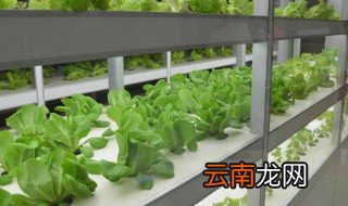 无土栽培的最佳方法 无土栽培的一般方法