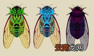 蝉几月份消失 什么时候蝉会消失