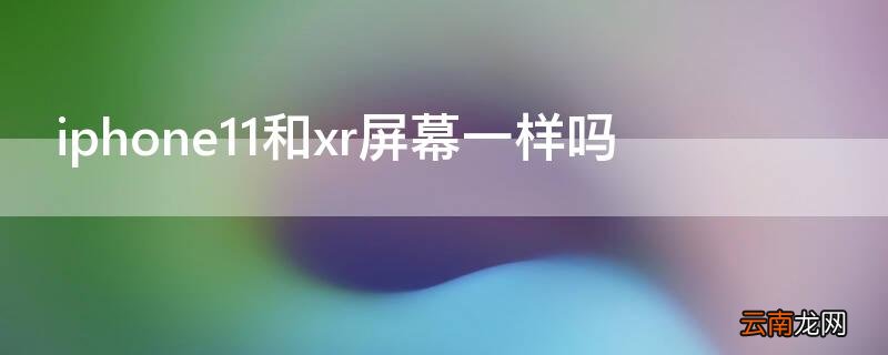 iPhone11和xr的屏幕 iPhone11和xr屏幕一样吗