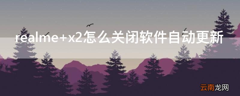 realme x2怎么关闭软件自动更新