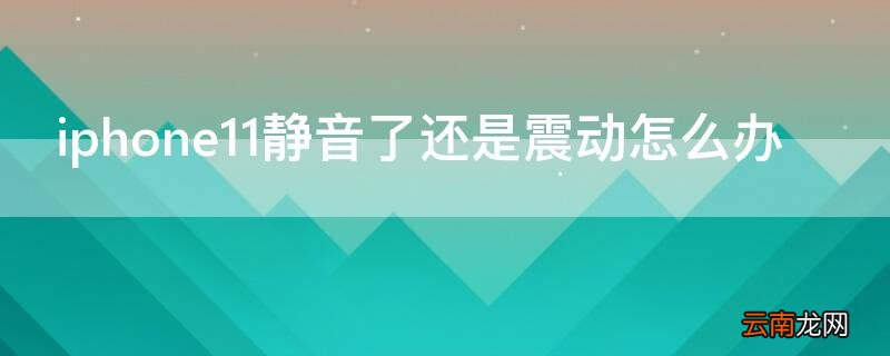 iphone12静音震动 iPhone11静音了还是震动怎么办