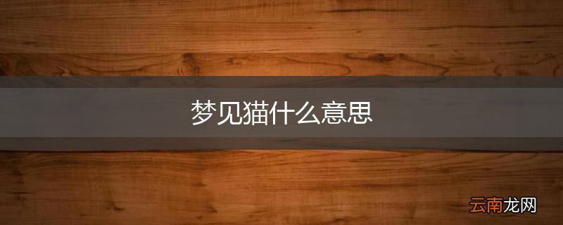梦见猫什么意思