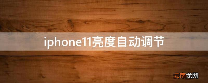 iphone11亮度自动调节怎么开 iPhone11亮度自动调节