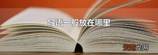 导语一般放在哪里