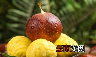 煮板栗多久就熟了 煮板栗多久就熟了啊