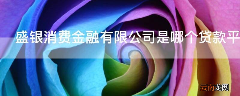盛银消费金融有限公司是哪个贷款平台