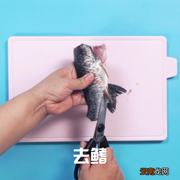 鲫鱼汤怎么做
