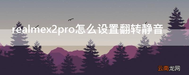 realmex2pro怎么设置翻转静音