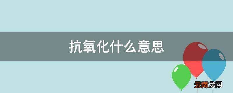 抗氧化什么意思