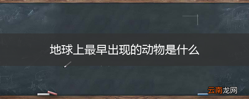 地球上最早出现的动物是什么