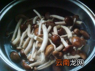 茶树菇炖肉的做法