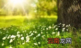 那些调整心态的正能量句子 那些调整心态句子推荐