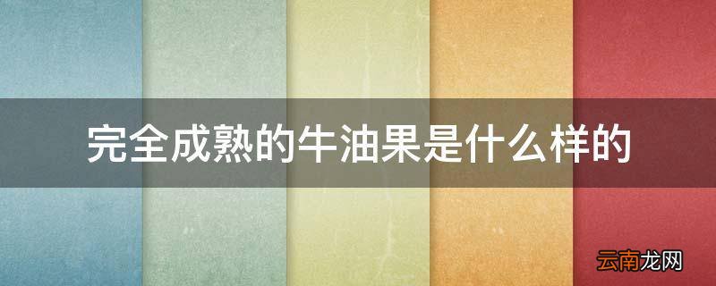 完全成熟的牛油果是什么样的