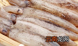 煮鱿鱼的正确方法，煮鱿鱼的正确方法和步骤