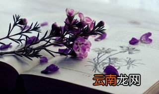 应接不暇什么意思 应接不暇造句