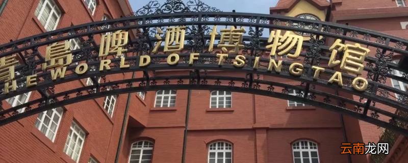 青岛啤酒博物馆社会实践表怎么填