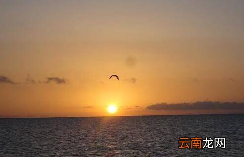 青海湖骑行攻略是什么