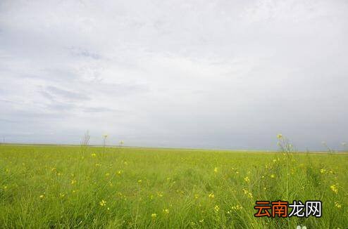青海湖骑行攻略是什么
