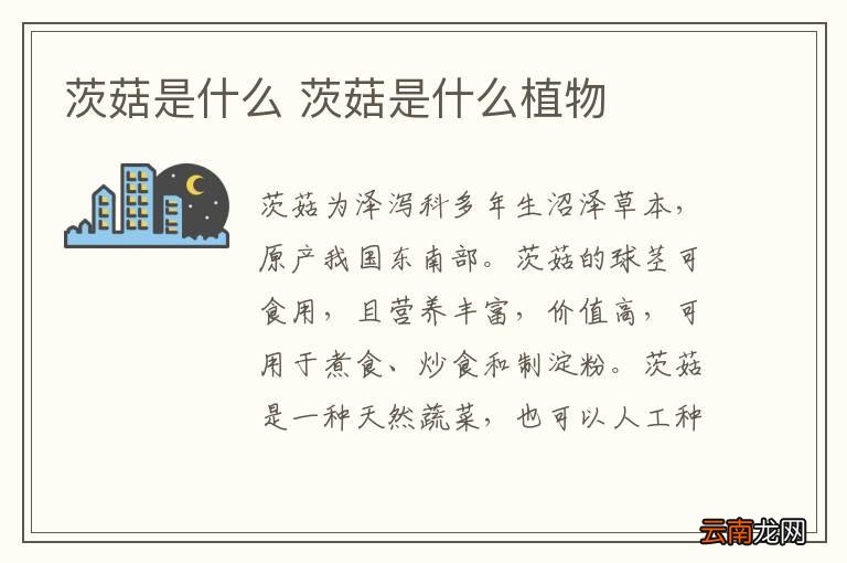 茨菇是什么 茨菇是什么植物