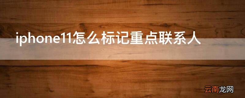 iPhone11怎么标记重点联系人 苹果11的紧急联系人怎么设置