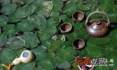 秋天喝什么茶最养生？