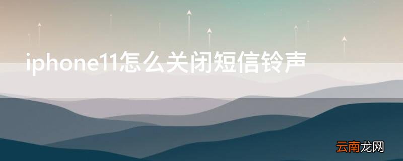 苹果11怎么设置短信铃声 iPhone11怎么关闭短信铃声