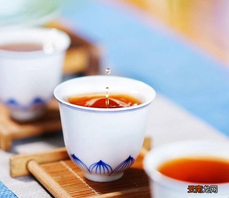 武夷山岩茶肉桂怎么泡