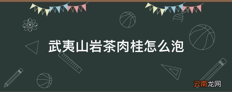 武夷山岩茶肉桂怎么泡