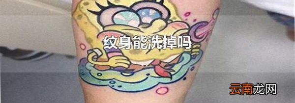 纹身能洗掉吗