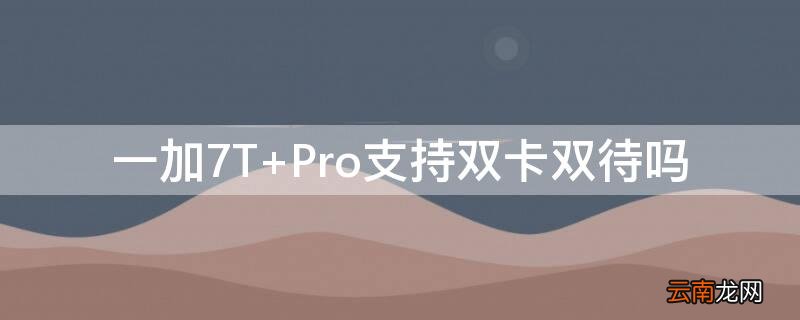 一加7T Pro支持双卡双待吗