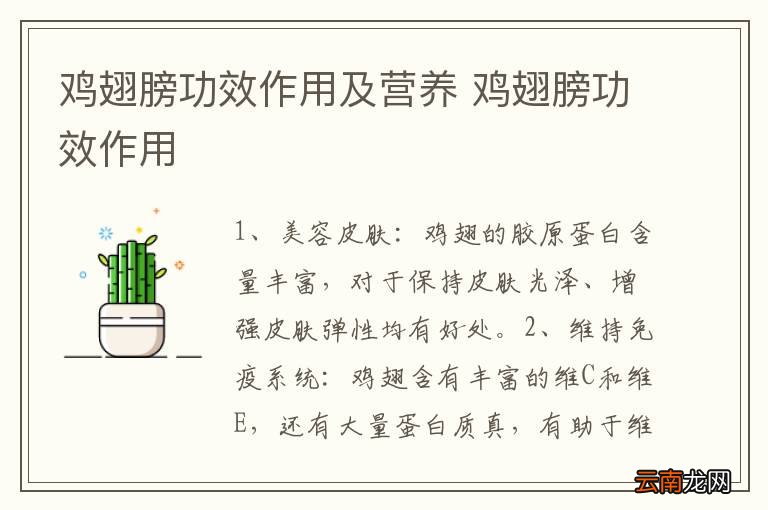 鸡翅膀功效作用及营养 鸡翅膀功效作用