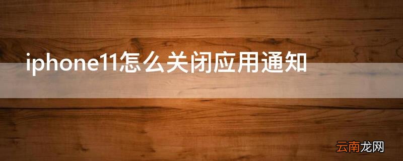 苹果11怎么关闭应用通知 iPhone11怎么关闭应用通知