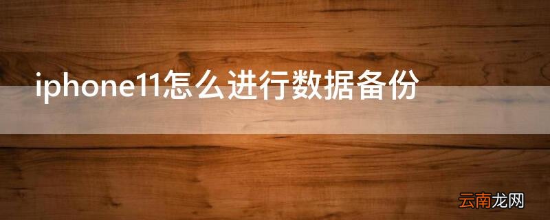 iPhone11怎么进行数据备份 iPhone12数据备份