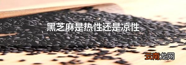 黑芝麻是热性还是凉性
