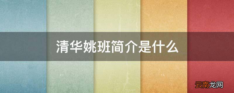 清华姚班简介是什么