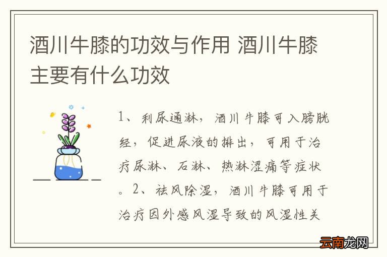酒川牛膝的功效与作用 酒川牛膝主要有什么功效