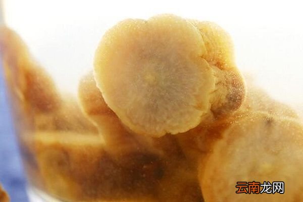 酒川牛膝的功效与作用 酒川牛膝主要有什么功效
