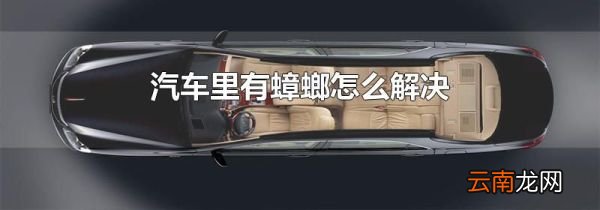 汽车里有蟑螂怎么解决