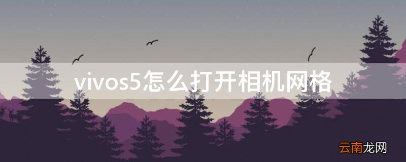 vivoy3手机相机怎么弄网格 vivos5怎么打开相机网格