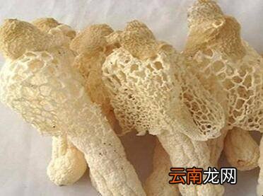 竹荪怎么泡发图解