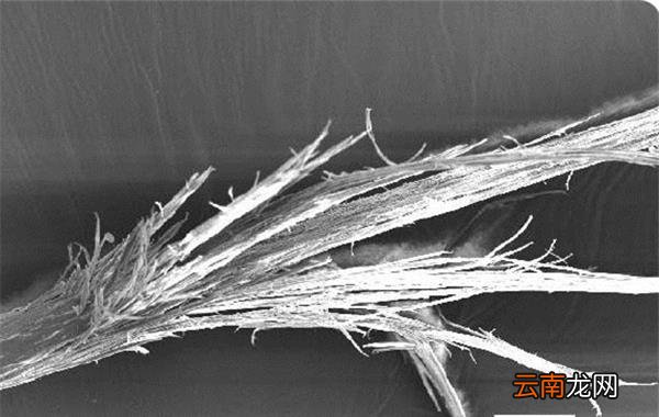 头发有分叉怎么办 头发有分叉怎么护理
